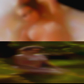 Pussy Destrehan