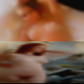 Hidden man girls bestiality